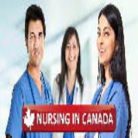 تحصیل پرستاری در کانادا